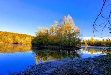 Espace Naturel Sensible de l'étang de Lemps景点图片