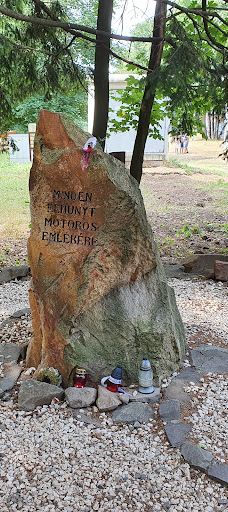 TV and observation tower-珍珠河