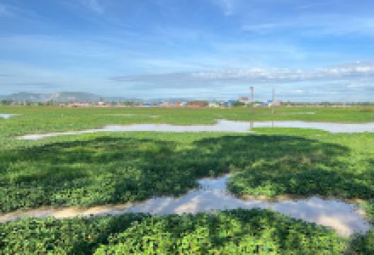 Phnom Cheal景点图片