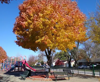 Newcastle Park