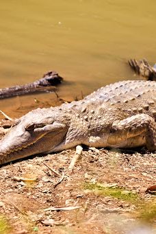 Bandilngan (Windjana Gorge) National Park-King Leopold Ranges