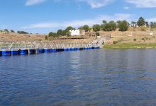 Praia Fluvial da Amieira景点图片