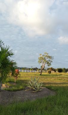 Bendungan Pice-Selingsing
