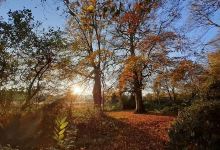 Les Jardins Agricoles du Colmoulin景点图片