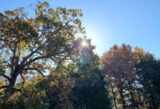 Ludwig Nature Area景点图片