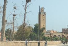 Mosquee Mohammed V景点图片