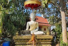 Wat Pa Puk景点图片