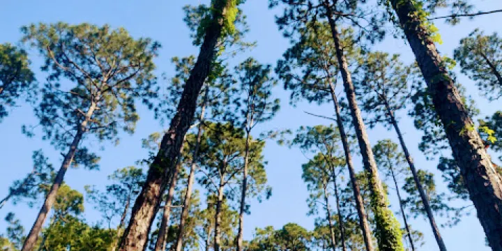 Audubon Newhall Preserve