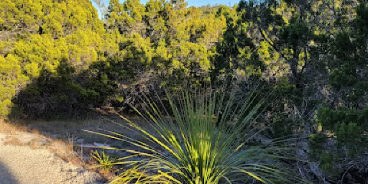 Crownridge Canyon Park