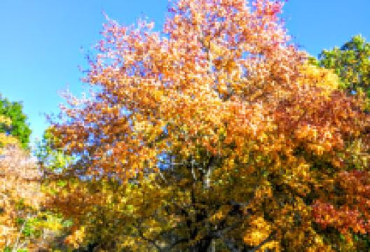 Parks & Recreation景点图片