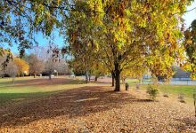 Redland Local Park景点图片
