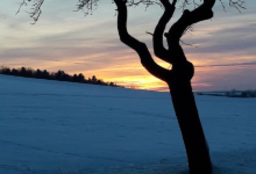 Distanzsäule "Weißer Stein"景点图片