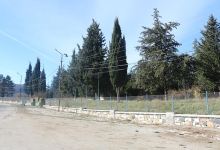 მემორიალური პარკი Memorial park景点图片