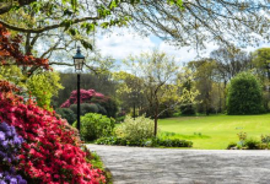 Trewan Hall景点图片