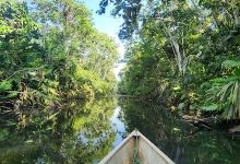 Laguna Paikawe Reserva景点图片