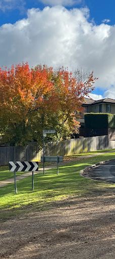 Drummond Apex Lookout-阿米代尔