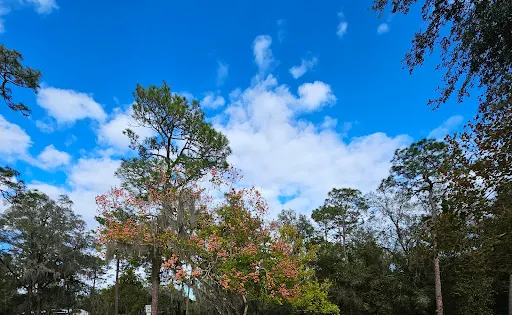 Whispering Pines Park