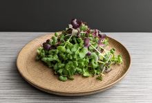 Alpine Growers景点图片