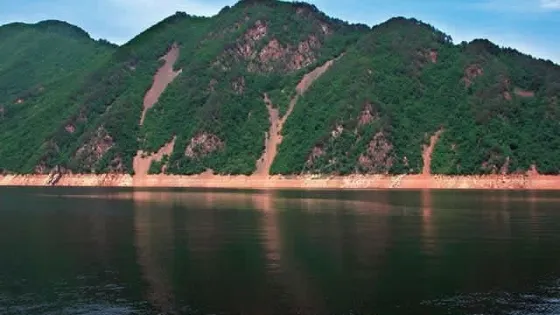 楊木水庫