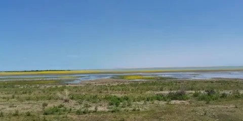 湖中長堤觀景台
