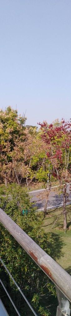 黄石华侨城恐龙奇域-大冶