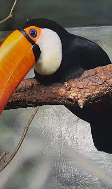 Zoo Kosice-科希策1区