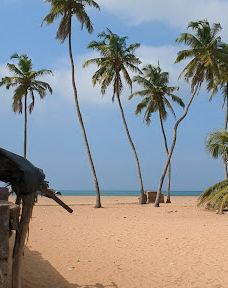 Keta Lagoon Protected Area-凯塔