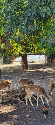Menachem Begin Park-特拉维夫