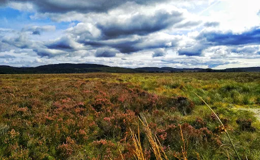 Moine Mhor National Nature Reserve