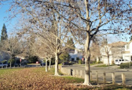 Gold Station Park景点图片