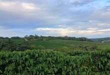 Trilha da Vó Mary景点图片