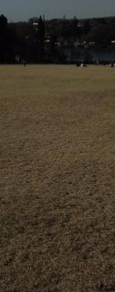 约翰内斯堡植物园-兰德堡