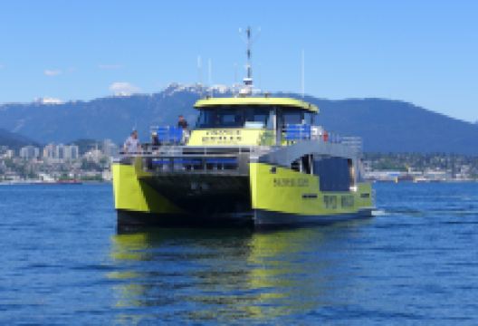 鲸鱼王子赏鲸公司景点图片