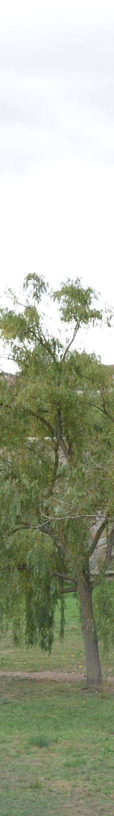 罗马古桥-萨拉曼卡