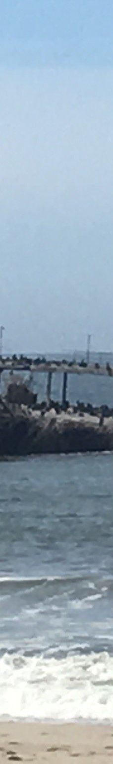 Seacliff State Beach-阿普托斯