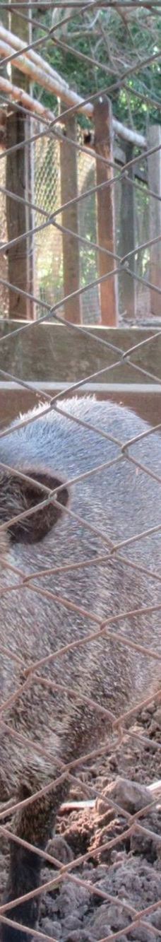 Botanical Garden of Asunción-亚松森