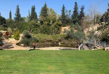 Galilee Park景点图片