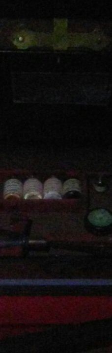 Ripley's Believe It or Not! World of Adventure-纽波特