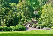 National Trust - Trelissick Garden景点图片