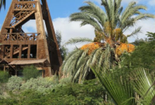 Fuerteventura Botanical Garden景点图片