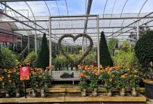 Barton Grange Garden Centre - Workshops购物图片