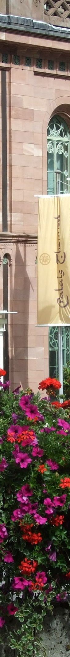 巴特维尔德巴特