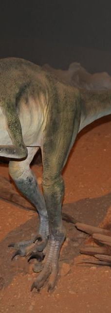Musee des Dinosaures 'Dinosauria'-埃斯佩拉扎