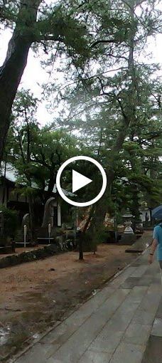 赞岐国分寺-高松