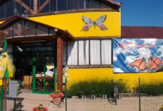 Butterfly House and Fairy Wood Butterfly Arc景点图片