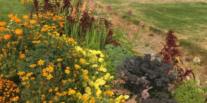 University of Idaho Arboretum & Botanical Garden