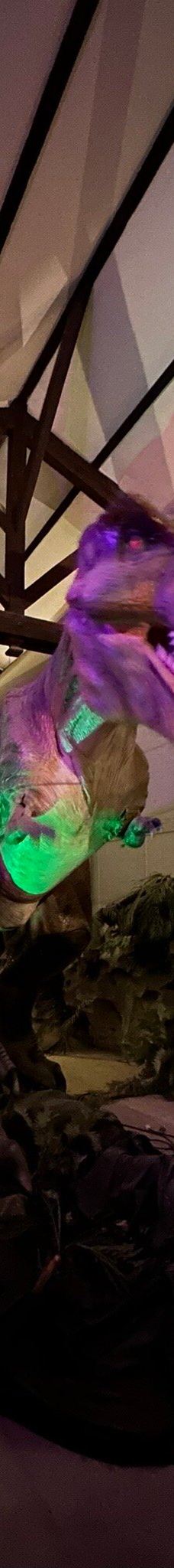 Musee des Dinosaures 'Dinosauria'-埃斯佩拉扎