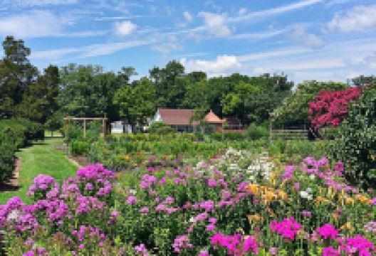 Sotterley Historic Plantation景点图片