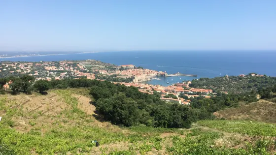 Domaine Claire Mayol