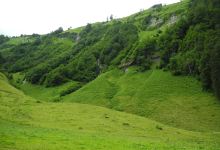 Bärgündele Alpe Bargundele Alpe景点图片